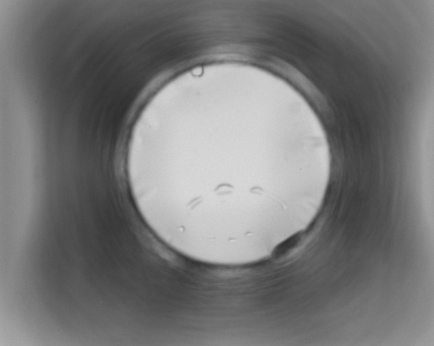 X0000113121240200910091130