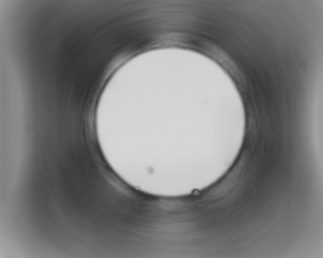 X0000113121242200910091130
