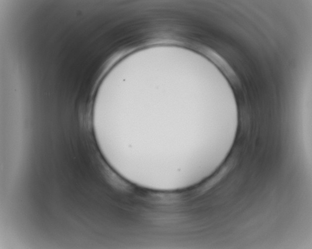 X0000113121244200910091130