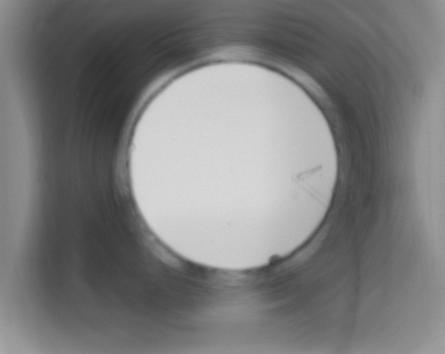 X0000113121248200910091130