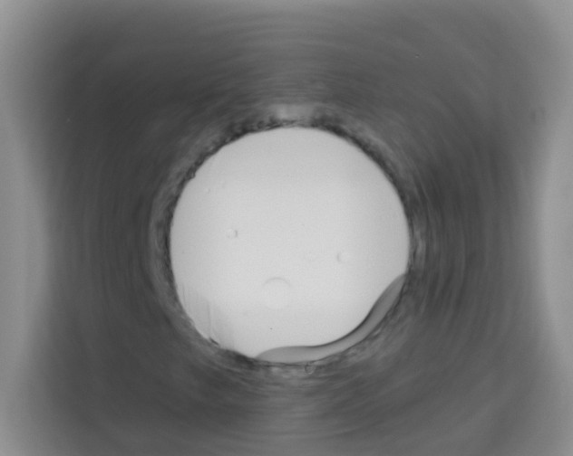 X0000113121249200910091130
