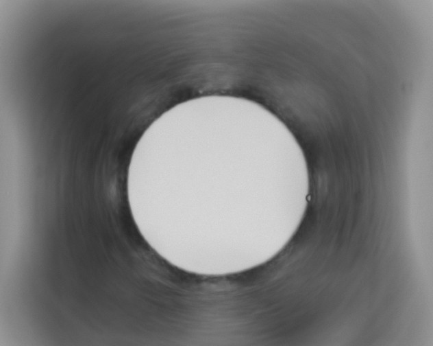 X0000113121250200910091130