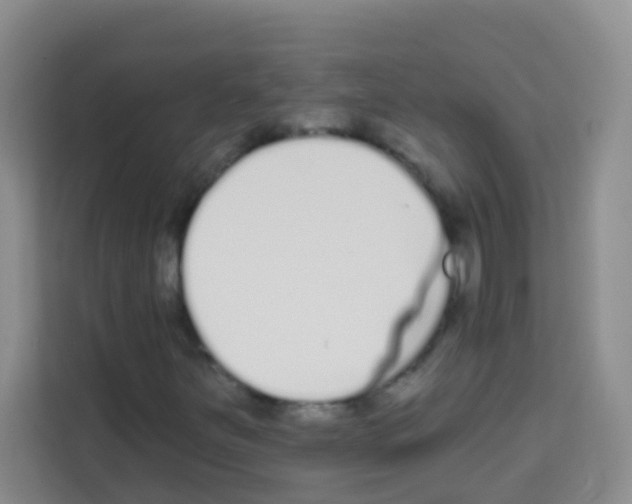 X0000113121251200910091130
