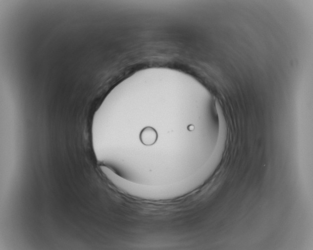 X0000113121252200910091130