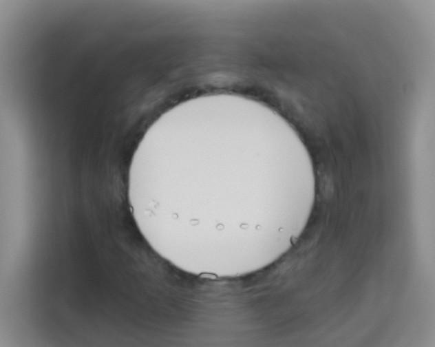 X0000113121253200910091130