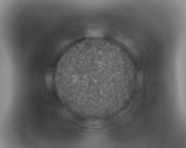 X0000113121254200910091130