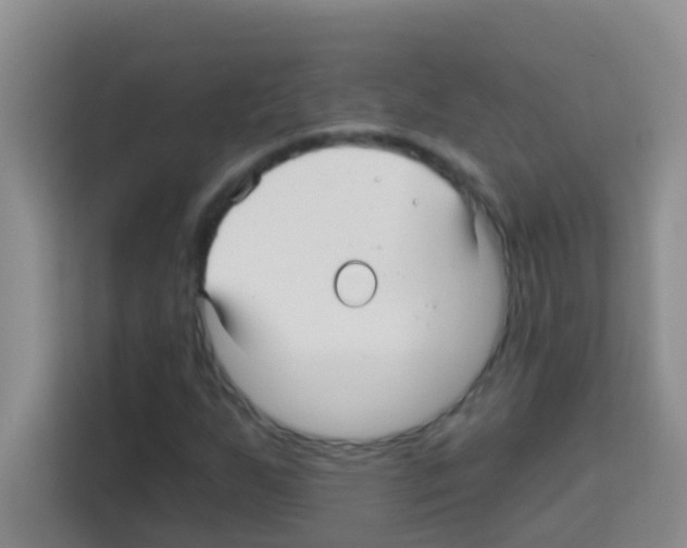 X0000113121255200910091130
