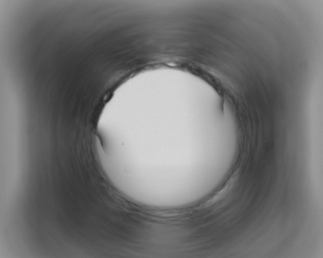 X0000113121257200910091130