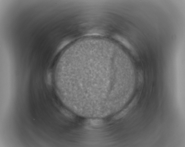 X0000113121258200910091130
