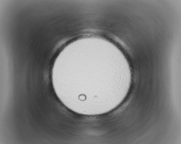 X0000113121259200910091130