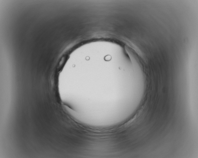 X0000113121261200910091130
