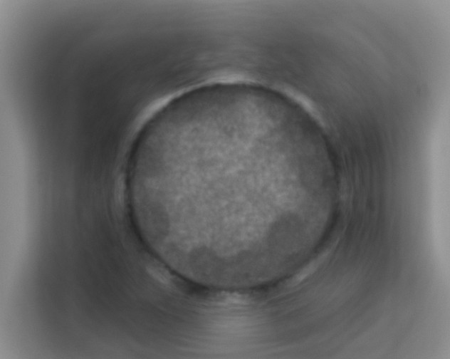 X0000113121263200910091130