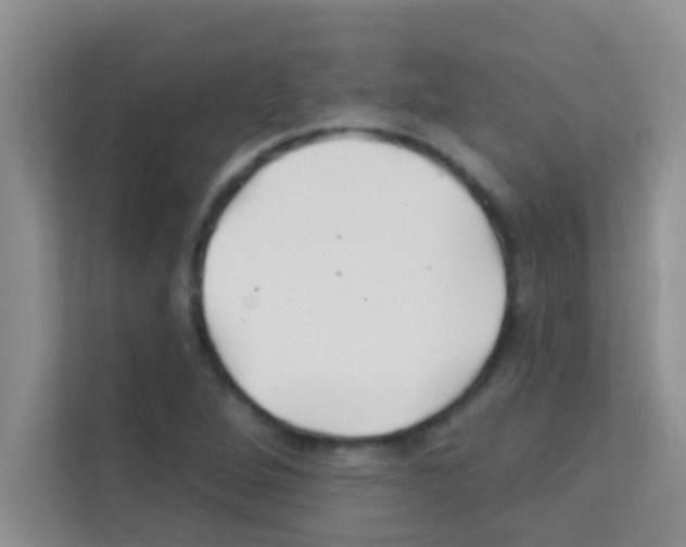 X0000113121264200910091130