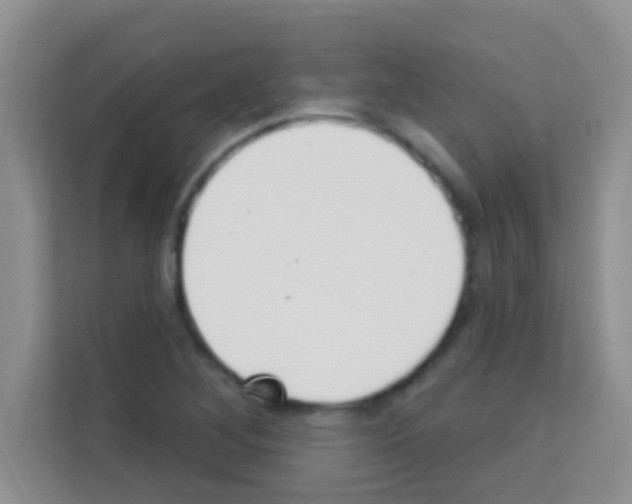 X0000113121268200910091130