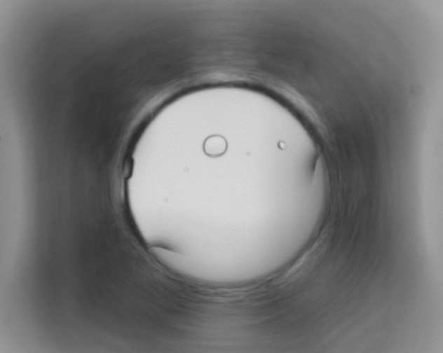 X0000113121269200910091130