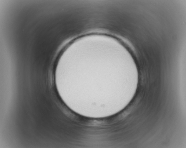 X0000113121271200910091130