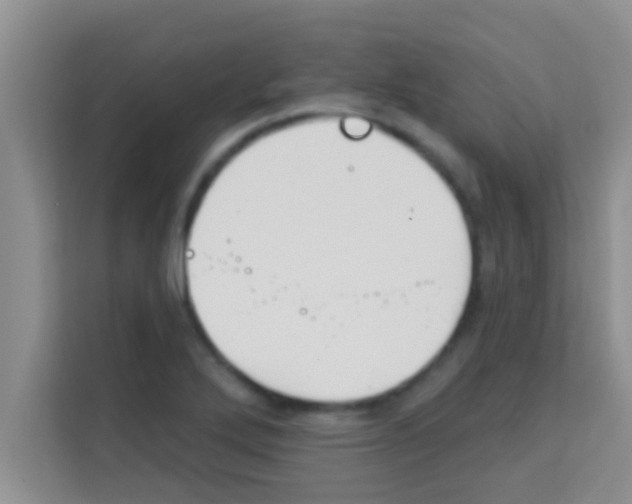X0000113121272200910091130