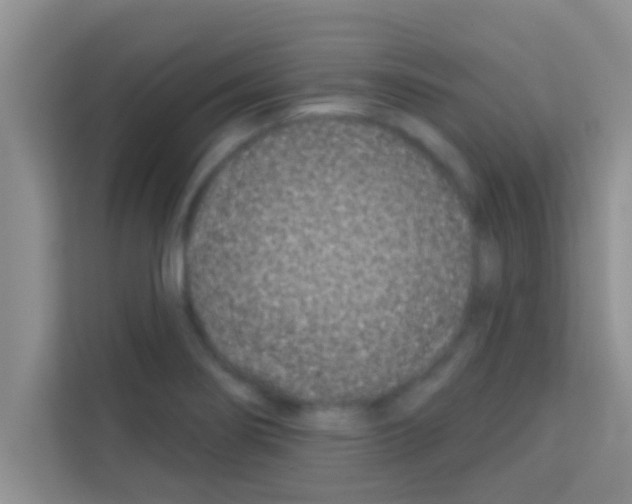 X0000113121274200910091130