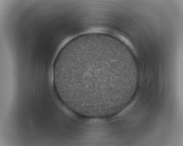 X0000113121275200910091130