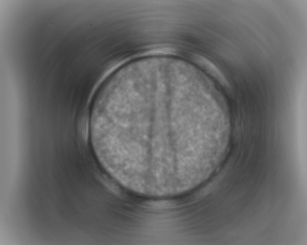 X0000113121276200910091130