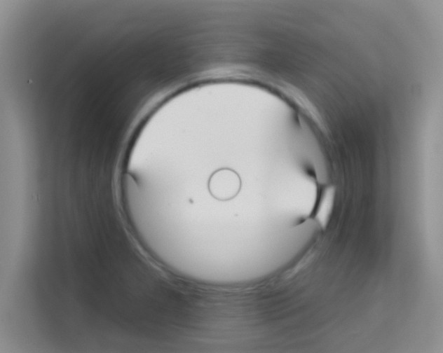 X0000113121277200910091130