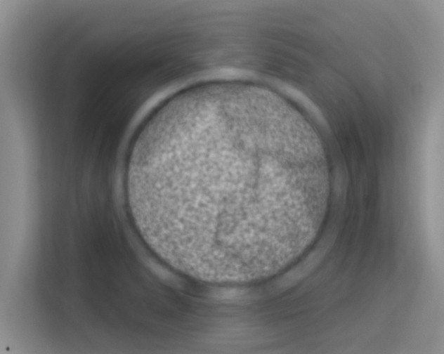 X0000113121278200910091129
