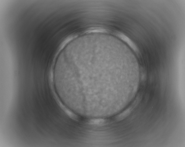 X0000113121282200910091129