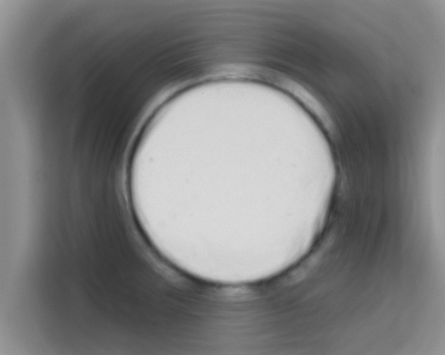 X0000113121283200910091129
