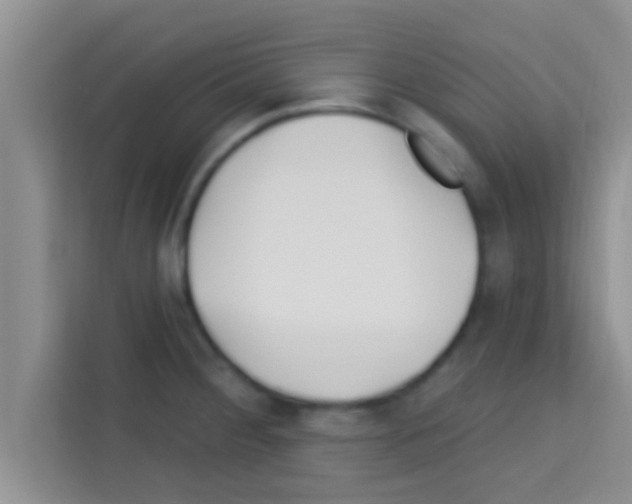 X0000113121284200910091129