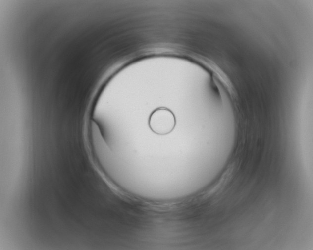X0000113121285200910091129