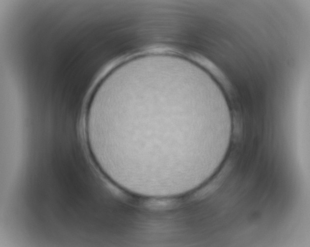 X0000113121286200910091129