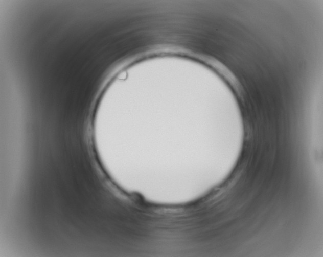 X0000113121287200910091129