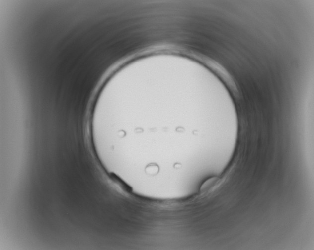 X0000113121288200910091129