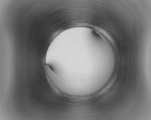 X0000113121289200910091129