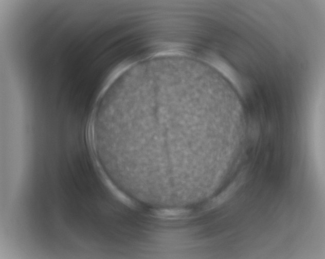 X0000113121290200910091129