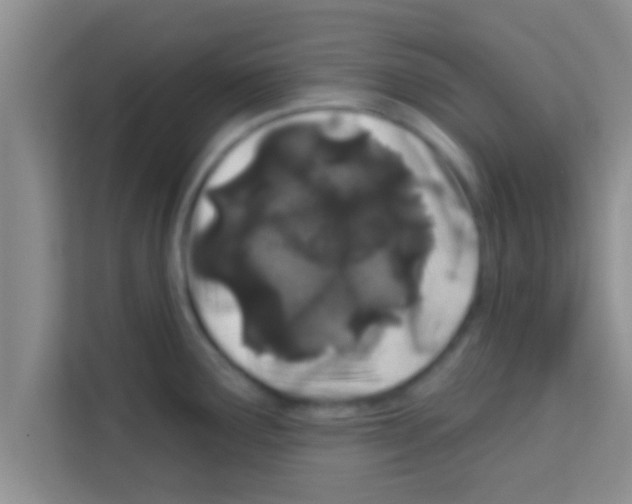 X0000113121291200910091129