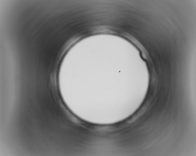 X0000113121293200910091129