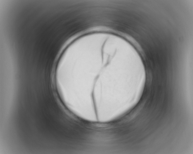 X0000113121295200910091129