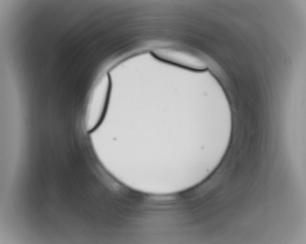 X0000113121296200910091129