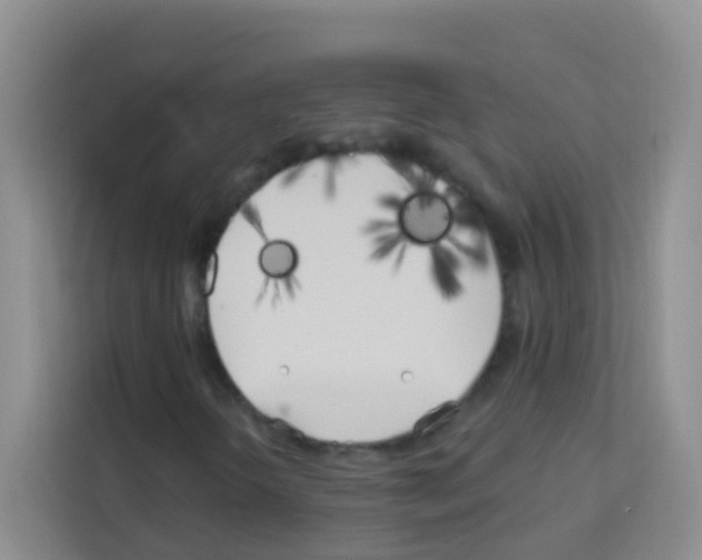X0000113121298200910091129