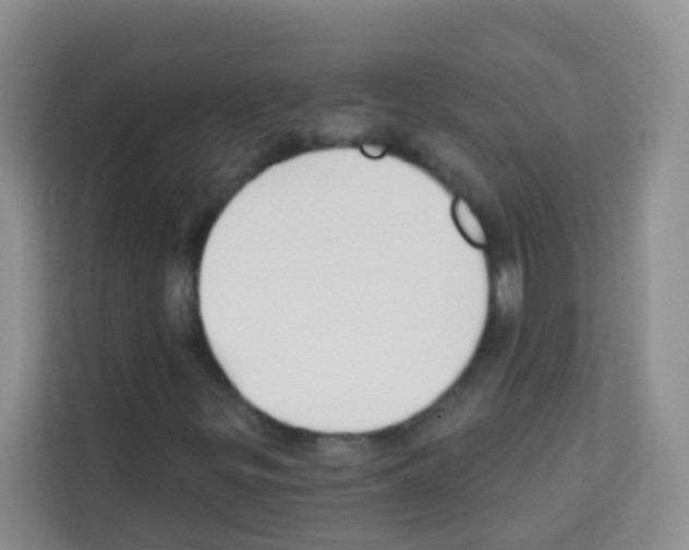 X0000113121299200910091129