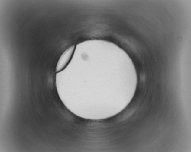 X0000113121300200910091129