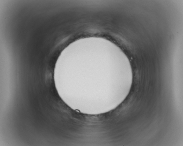 X0000113121302200910091129