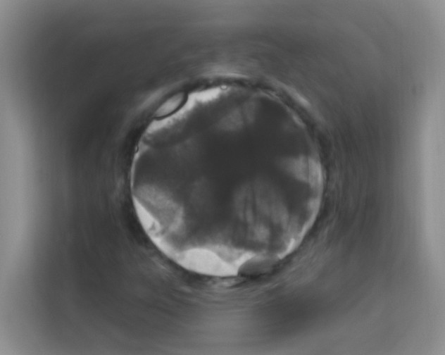 X0000113121303200910091129