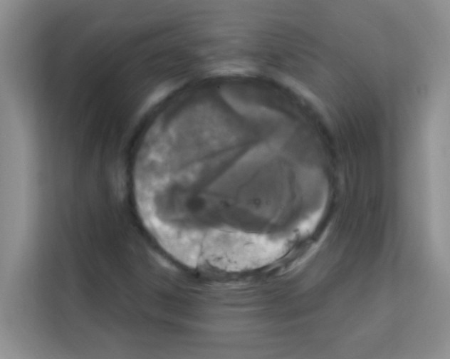 X0000113121306200910091129