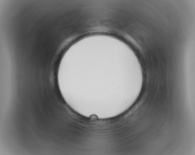 X0000113121307200910091129