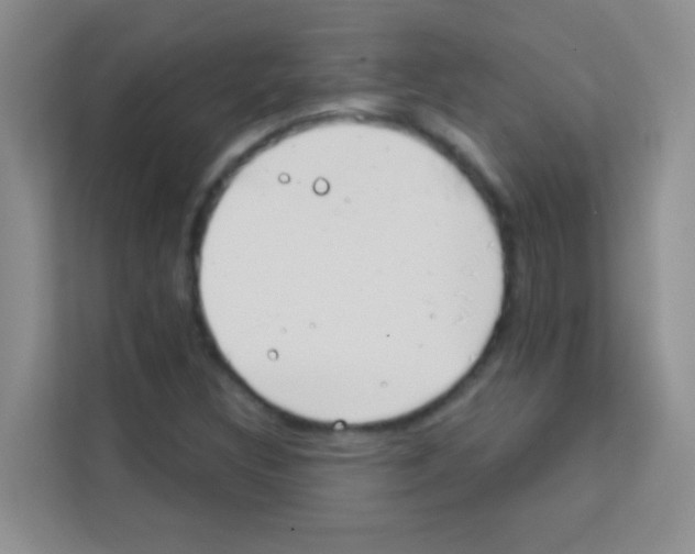X0000113121308200910091129