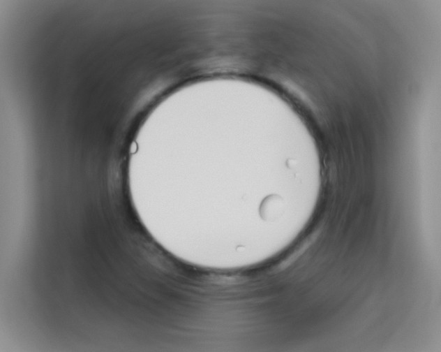 X0000113121309200910091129