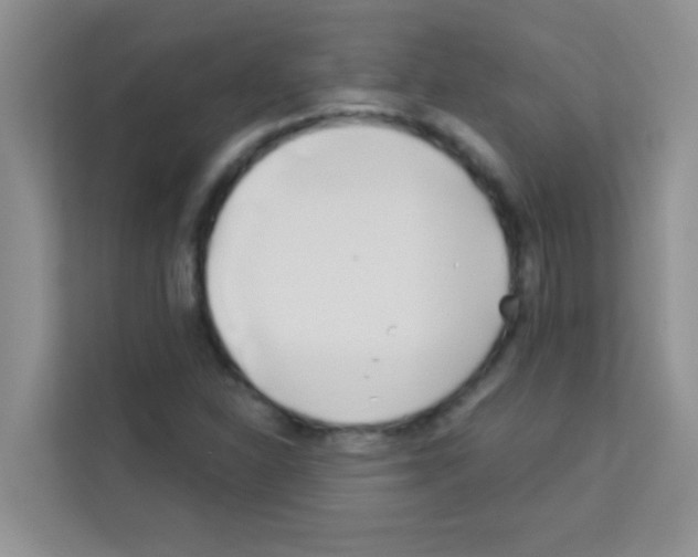 X0000113121310200910091129