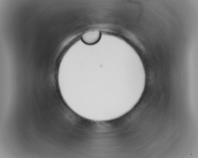 X0000113121312200910091129